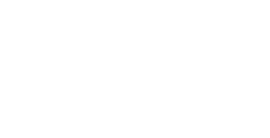 Wisdom Skyverse Pimpri Logo Image